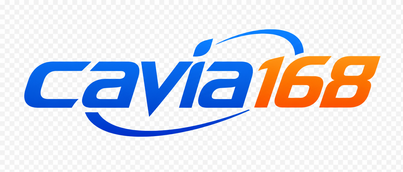 cavia168